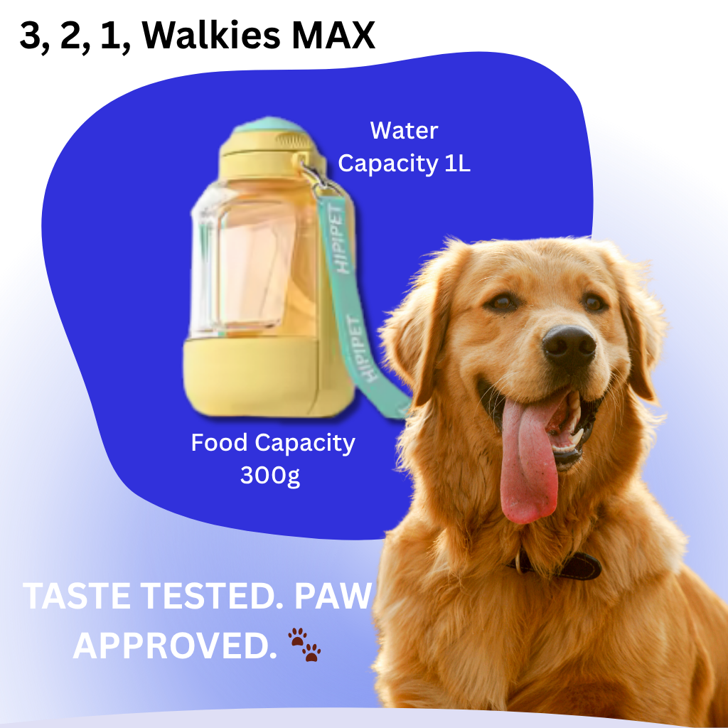 3, 2, 1, Walkies MAX