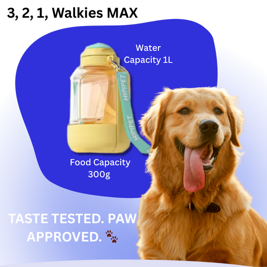 3, 2, 1, Walkies MAX