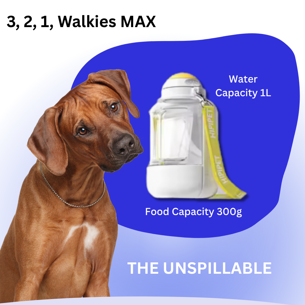 3, 2, 1, Walkies MAX