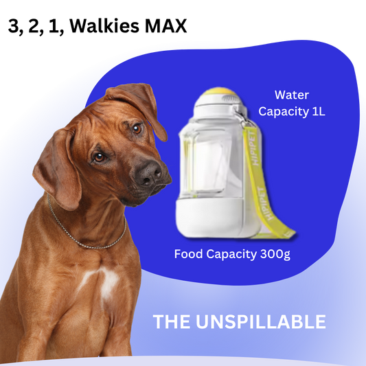 3, 2, 1, Walkies MAX