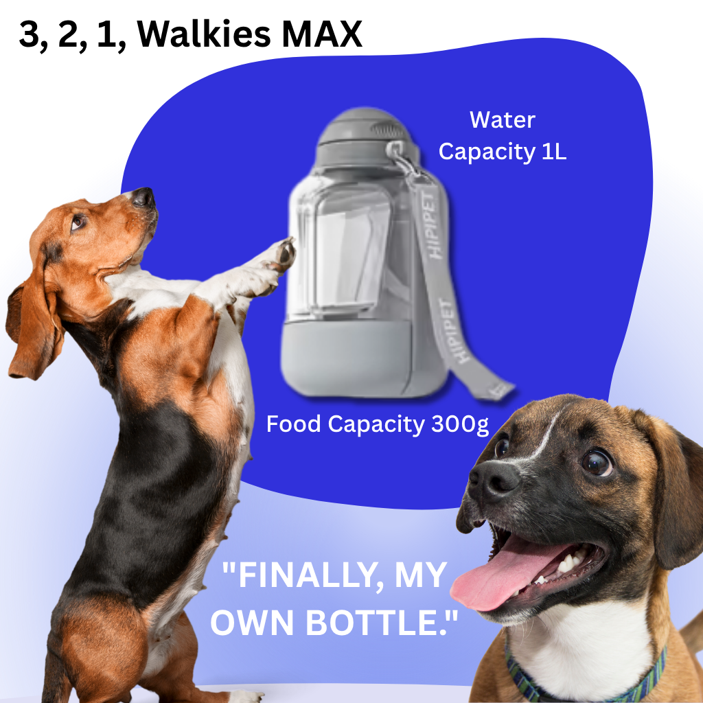 3, 2, 1, Walkies MAX