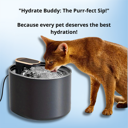 Hydrate Buddy